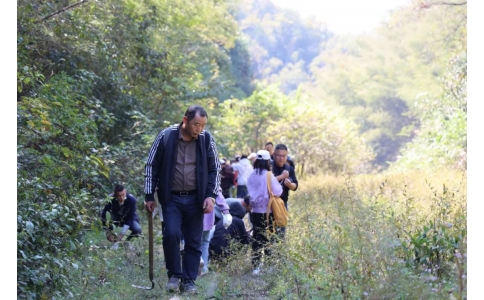 踏秋尋寶，聞香識藥！首屆神農(nóng)杯野外識藥大賽在株洲鳳凰山景區(qū)成功舉辦！