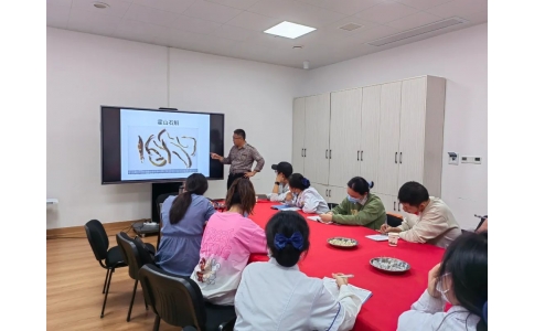 提高鑒定技能 傳承特色技術——漢方神農(nóng)中醫(yī)館中藥材鑒別培訓活動紀實