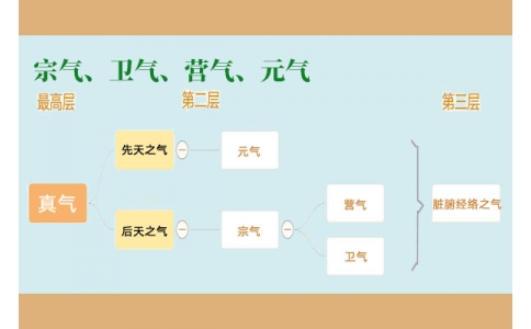 中醫(yī)里的“宗氣”、“衛(wèi)氣”、“營氣”、“元氣”